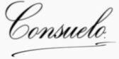 Firma Consuelo Accessible travel