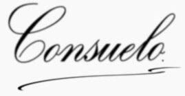 Firma Consuelo Accessible travel